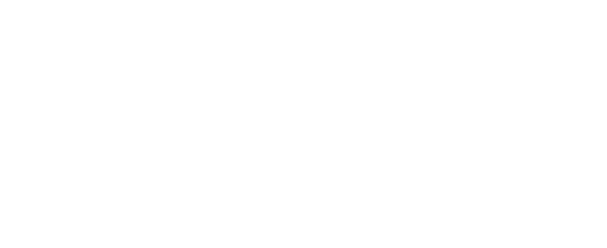 TIS Inc.